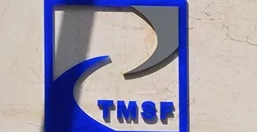 tmsf-01