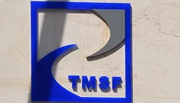 TMSF Hangi Şirketlere El Koyar? Kapsamlı ve Pratik Rehber