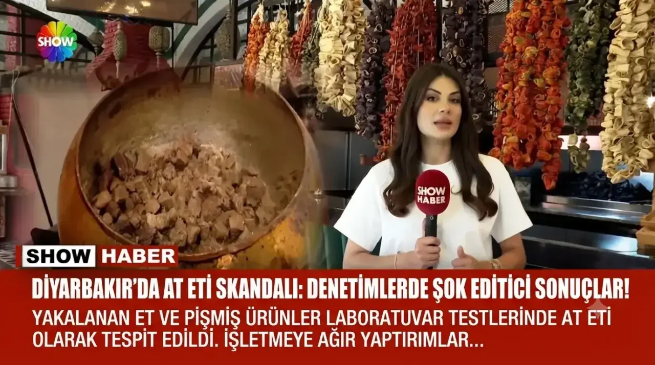 Diyarbakır'da At eti skandalı 7 Tükettiğimiz gıdaların güvenilirliği, modern dünyada en kritik meselelerden biri haline gelmiştir.