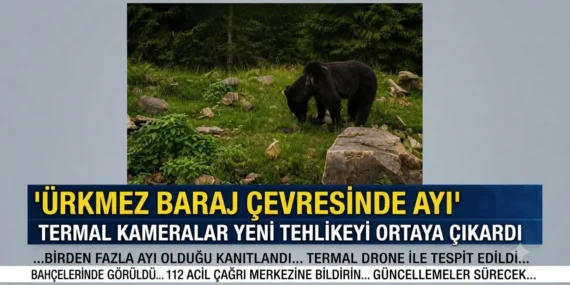 Ürkmez Barajı Çevresinde Ayı, Termal Kameralar Yeni Tehlikeyi Ortaya Çıkardı 34 1783551279163