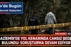 Gaziemir'de Yol Kenarında Cansız Beden Bulundu: Soruşturma Devam Ediyor 11 1784378942142
