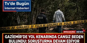 Gaziemir'de Yol Kenarında Cansız Beden Bulundu: Soruşturma Devam Ediyor 12 1784378942142
