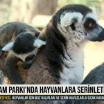 Doğal Yaşam Parkı'nda hayvanlara serinletici sürpriz 11 1784815675563