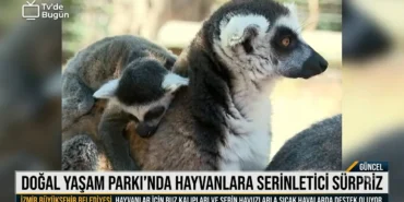Doğal Yaşam Parkı'nda hayvanlara serinletici sürpriz 10 1784815675563