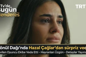 Hazal Subaşı'ya 'Bir Hayat Hikayesi'nde partner aranıyor 3 thumbnail