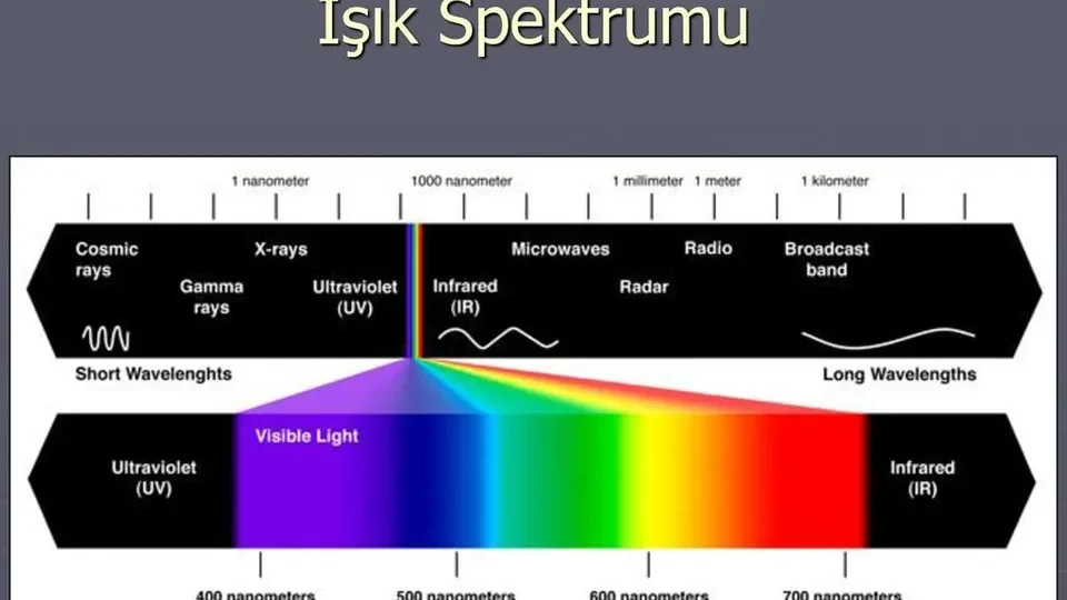 Prof. Dr. Nejat Altıntaş'tan Kırmızı Işık Terapisi ve Gençlik Sırları